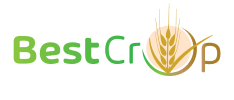 Logo menu best crop